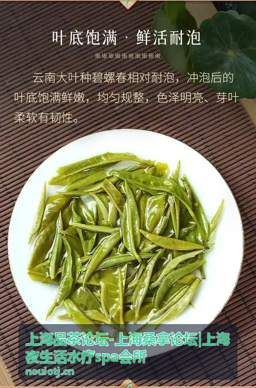 上海水疗SPA会所精选推荐
